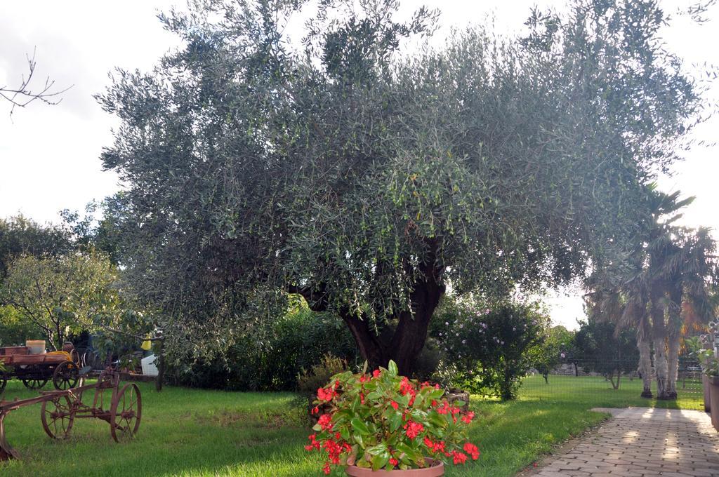 Franko Apartmani Zambratija (Istria) Exterior foto